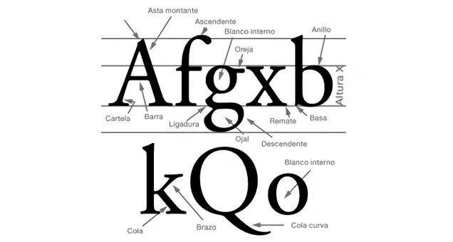Imagen con esquema de estructura de una tipografía